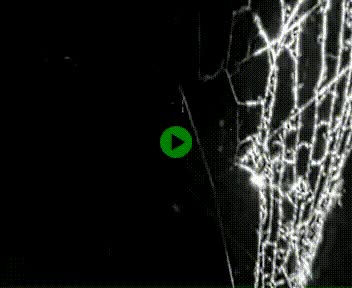 Webcam à hauteur de Vert-en-Drouais sur la N12, en périphérie de Dreux. Vue orientée vers Alençon