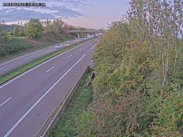 Caméra autoroute France - A31, Kanfen direction Luxembourg