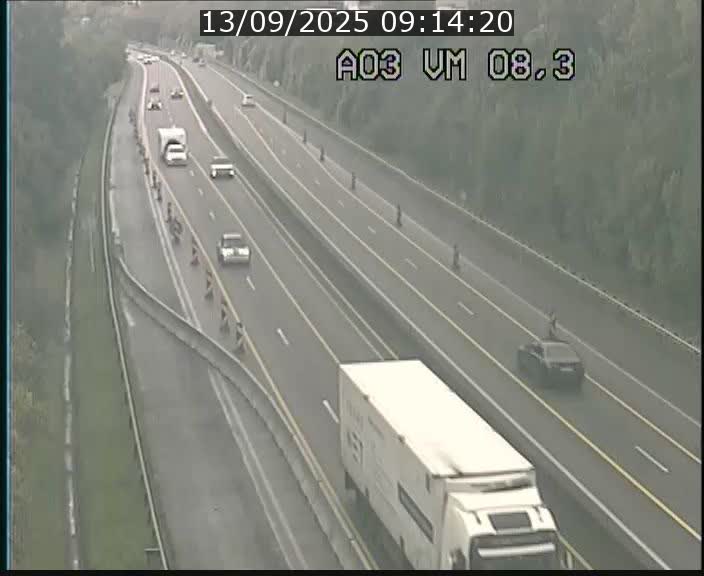 Traffic live webcam Luxembourg Bettembourg - A3 - BK 8.3 - direction France