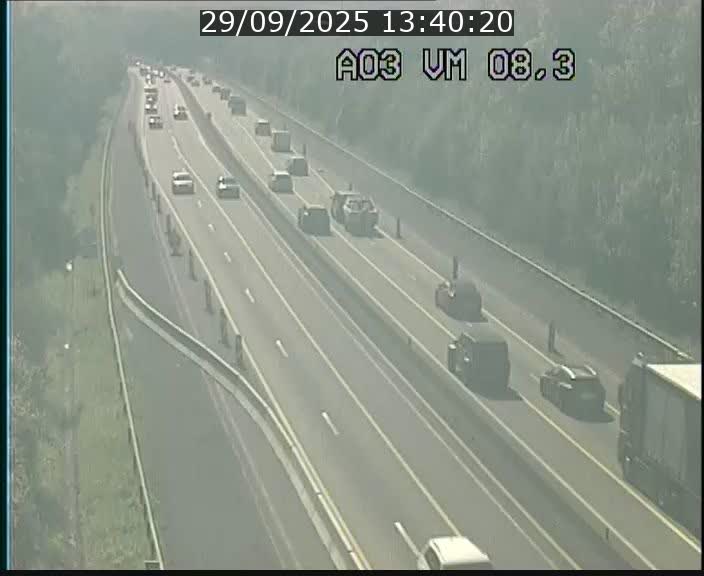 Traffic live webcam Luxembourg Bettembourg - A3 - BK 8.3 - direction France