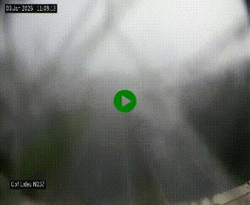 Webcam située à la Rochelle, à la fin de la N237 avant l'accès au péage du Pont de l'Île-de-Ré