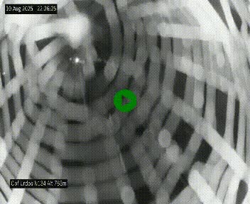 Webcam dans les Pyrénées Atlantique au niveau du col d'Urdos et du fort du Pourtalet sur la N134, en direction du Col et du tunnel du Somport, à 765 mètres d'altitude
