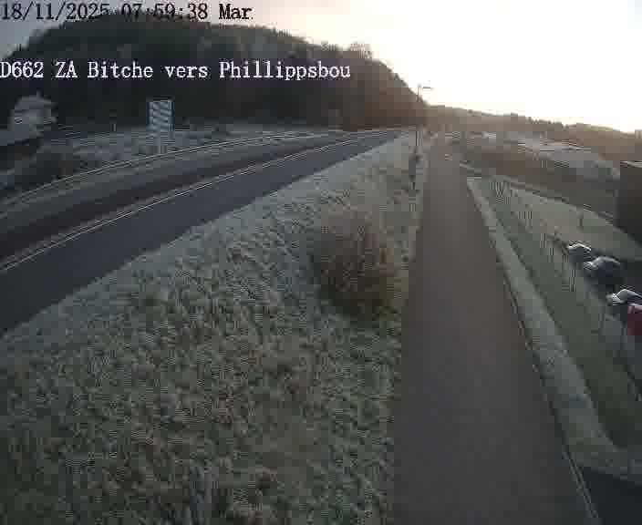 Caméra de trafic sur D662 (France) à Bitche, orientée vers Phillippsbourg, permettant d’évaluer fluidité, incidents et densité automobile.
