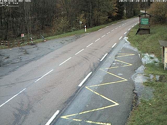 Webcam en haut du col des Fenesses, aussi appelé col du Ménil sur la D486 à 593 mètres d'altitude dans les Vosges