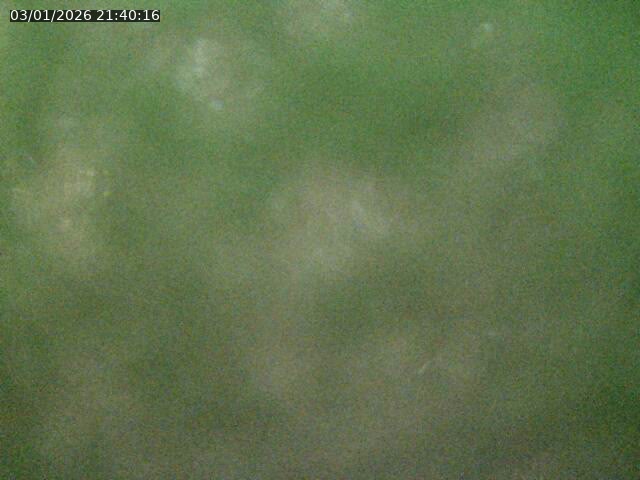 Caméra autoroute France - A31, Maxéville direction Paris