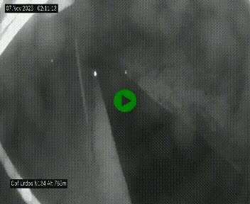 Webcam dans les Pyrénées Atlantique au niveau du col d'Urdos et du fort du Pourtalet sur la N134, en direction du Col et du tunnel du Somport, à 765 mètres d'altitude