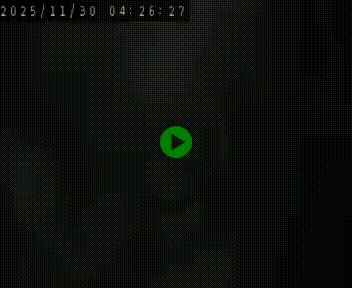 Webcam routière au niveau du col de la Chavade en Ardèche, sur la N102 à 1266 mètres d'altitude