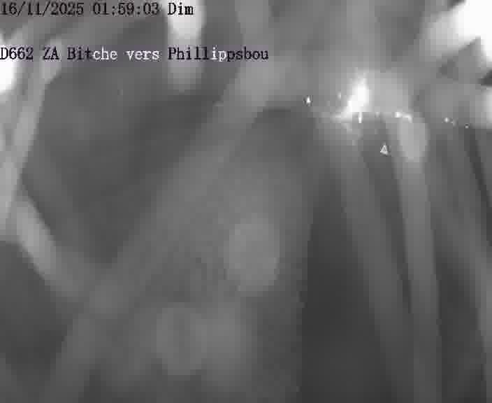 Caméra de trafic sur D662 (France) à Bitche, orientée vers Phillippsbourg, permettant d’évaluer fluidité, incidents et densité automobile.