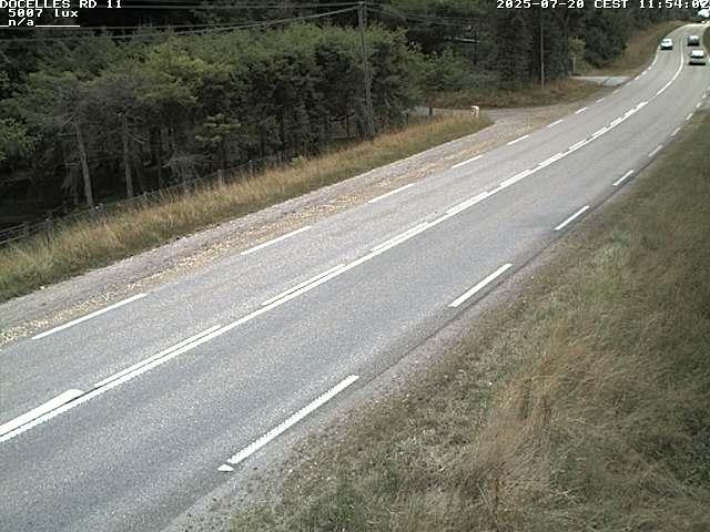 Webcam à 424 mètres d'altitude dans la Tranchée de Docelles dans les Vosges, à proximité d'Epinal sur la route de Gerardmer (D11)