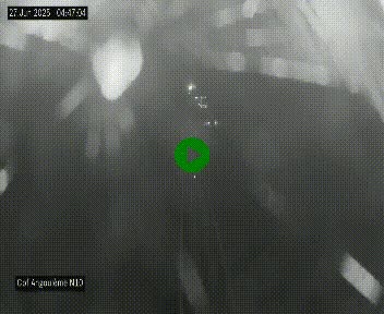 Webcam routière à la fin de la N10, en périphérique ouest d'Angouleme, proche de la jonction avec l'A10