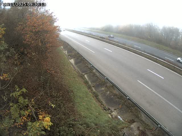 Webcam route sur la N59 à Flavigny-sur-Moselle à proximité de Nancy vers Epinal