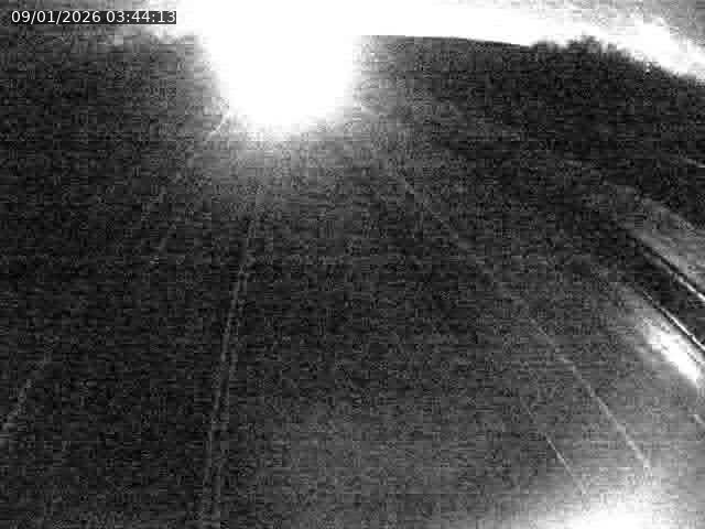 Caméra autoroute France - A31, Velaine-en-Haye direction Nancy