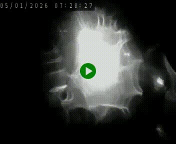 Caméra autoroute A75 à hauteur de Le Crest, en direction de Montpellier