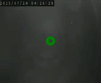 Webcam routière au niveau du col de la Chavade en Ardèche, sur la N102 à 1266 mètres d'altitude