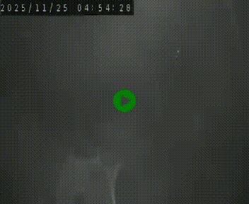 Webcam routière au niveau du col de la Chavade en Ardèche, sur la N102 à 1266 mètres d'altitude