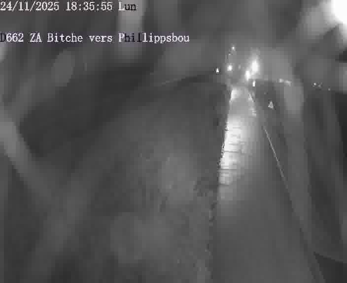 Caméra de trafic sur D662 (France) à Bitche, orientée vers Phillippsbourg, permettant d’évaluer fluidité, incidents et densité automobile.