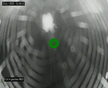 Webcam routière à la fin de la N10, en périphérique ouest d'Angouleme, proche de la jonction avec l'A10