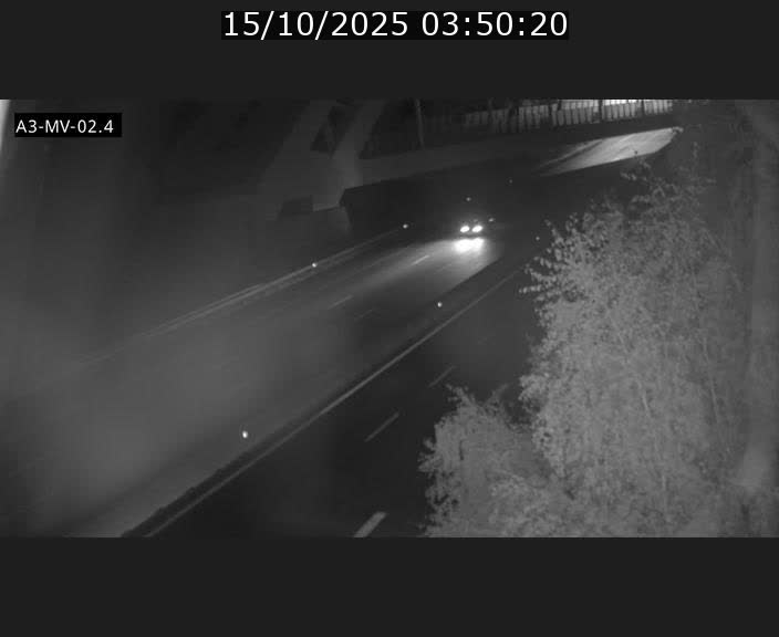 Webcam autoroute de la France (A3) au Luxembourg à Fentange, à proximité de la Croix de Gasperich. Vue orientée vers la Cloche d'Or