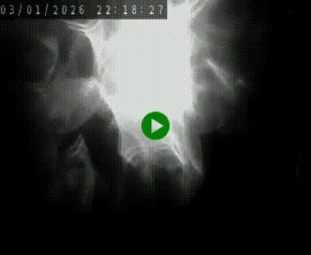 Caméra autoroute A75 à hauteur de Le Crest, en direction de Montpellier