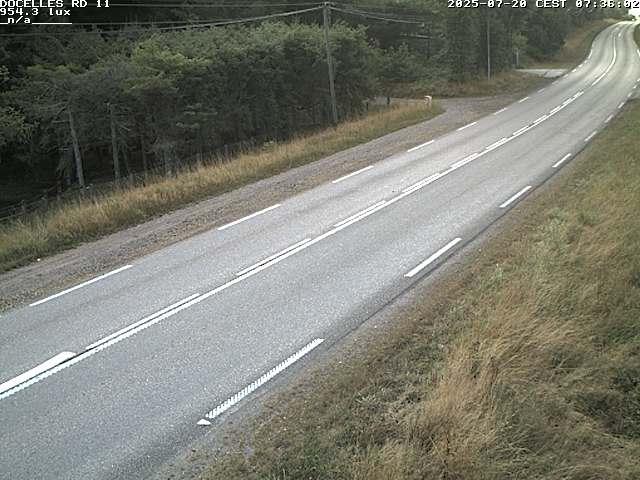 Webcam à 424 mètres d'altitude dans la Tranchée de Docelles dans les Vosges, à proximité d'Epinal sur la route de Gerardmer (D11)