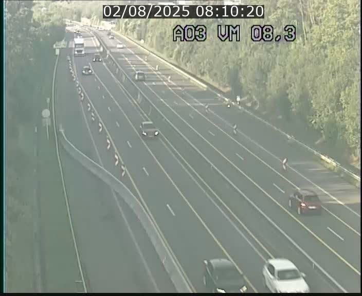 Traffic live webcam Luxembourg Bettembourg - A3 - BK 8.3 - direction France