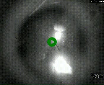 Webcam au carrefour de la croisade, à la jonction entre la N22 et la N320, avant le poste de douane franco-andorrane. Webcam à 1790 mètres d'altitude