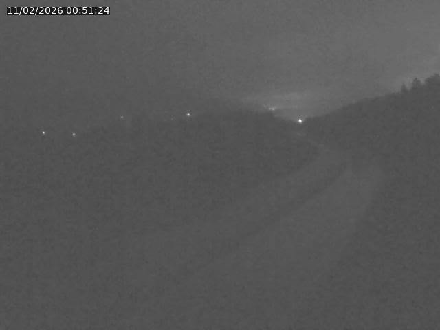 Caméra autoroute France - N57, Côte de la demoiselle direction Remiremont