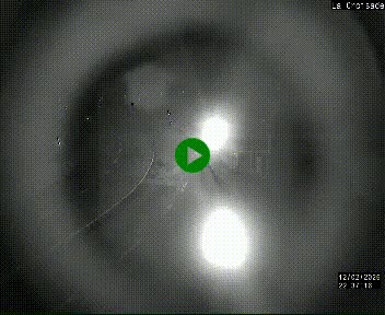 Webcam au carrefour de la croisade, à la jonction entre la N22 et la N320, avant le poste de douane franco-andorrane. Webcam à 1790 mètres d'altitude