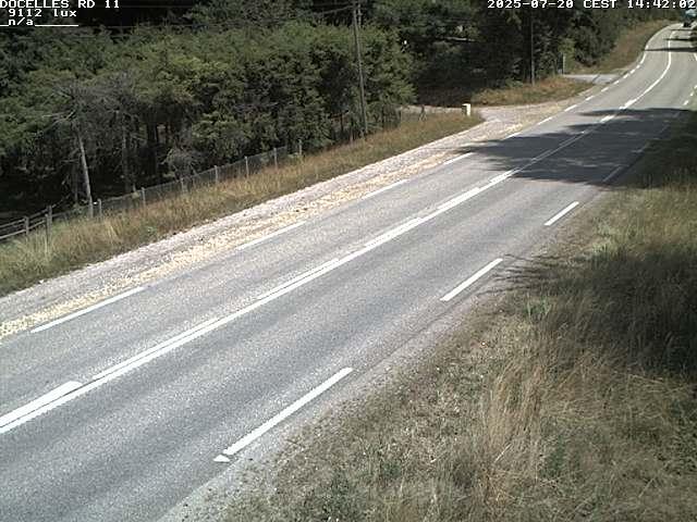 Webcam à 424 mètres d'altitude dans la Tranchée de Docelles dans les Vosges, à proximité d'Epinal sur la route de Gerardmer (D11)