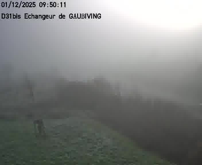 Dispositif d’observation sur D31bis (France) à Gaubiving, en direction de Sarreguemines, offrant une visualisation fiable des conditions de circulation.