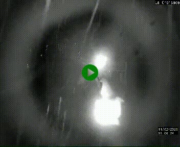 Webcam au carrefour de la croisade, à la jonction entre la N22 et la N320, avant le poste de douane franco-andorrane. Webcam à 1790 mètres d'altitude