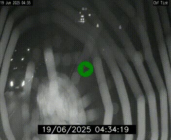 Webcam sur le périphérique de Rennes (N136) à hauteur de Tizé, à l'est de la ville