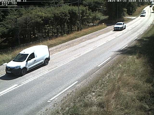 Webcam à 424 mètres d'altitude dans la Tranchée de Docelles dans les Vosges, à proximité d'Epinal sur la route de Gerardmer (D11)
