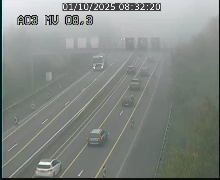 Webcam Autoroute après la Croix de Bettembourg en direction de Luxembourg sur l'A3