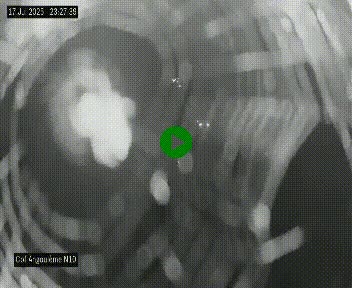 Webcam routière à la fin de la N10, en périphérique ouest d'Angouleme, proche de la jonction avec l'A10