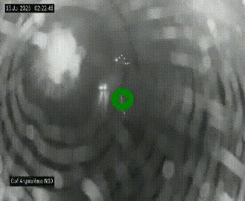 Webcam routière à la fin de la N10, en périphérique ouest d'Angouleme, proche de la jonction avec l'A10
