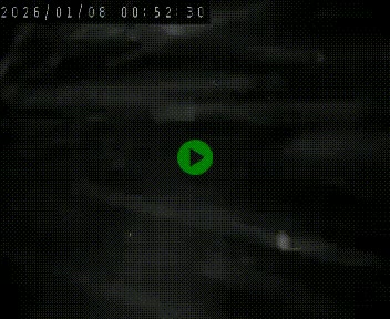 Caméra autoroutière France - A75, Coren, en direction de Montpellier