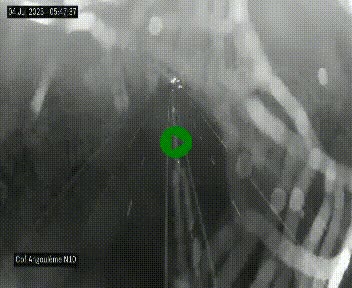Webcam routière à la fin de la N10, en périphérique ouest d'Angouleme, proche de la jonction avec l'A10