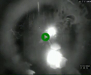 Webcam au carrefour de la croisade, à la jonction entre la N22 et la N320, avant le poste de douane franco-andorrane. Webcam à 1790 mètres d'altitude