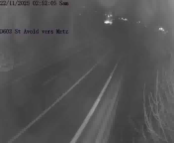 Clone of Webcam sur la D603 située à proximité de Saint-Avold. Vue orientée vers Metz