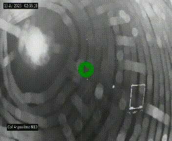 Webcam routière à la fin de la N10, en périphérique ouest d'Angouleme, proche de la jonction avec l'A10