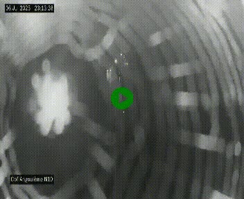 Webcam routière à la fin de la N10, en périphérique ouest d'Angouleme, proche de la jonction avec l'A10