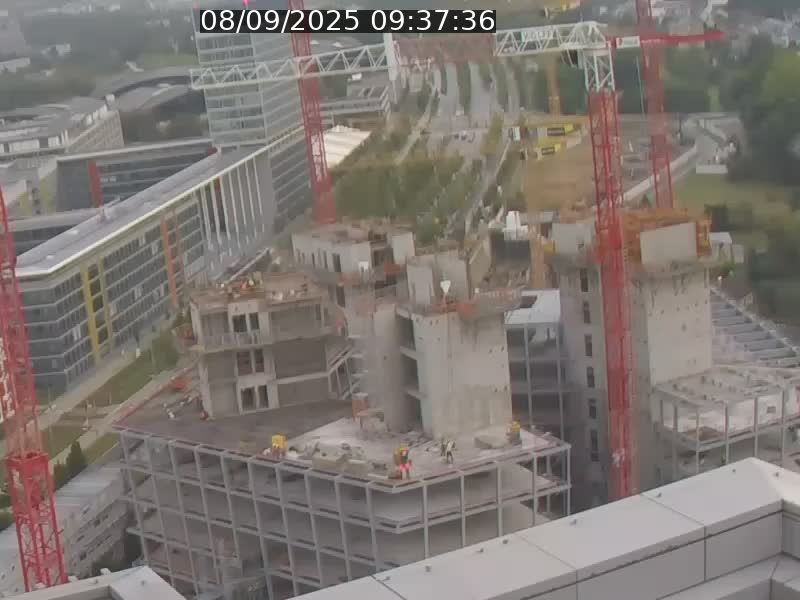 Webcam sur l'avenue John Fitzgerald Kennedy (N51) avec vue orientée vers le Findel