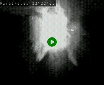 Caméra autoroute A75 à hauteur de Le Crest, en direction de Montpellier