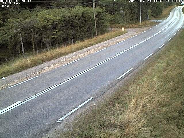 Webcam à 424 mètres d'altitude dans la Tranchée de Docelles dans les Vosges, à proximité d'Epinal sur la route de Gerardmer (D11)