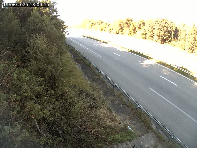 Webcam route sur la N59 à Flavigny-sur-Moselle à proximité de Nancy vers Epinal