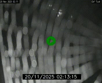 Webcam sur le périphérique de Rennes (N136) à hauteur de Tizé, à l'est de la ville