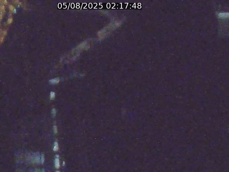 Webcam sur l'avenue John Fitzgerald Kennedy (N51) avec vue orientée vers le Findel