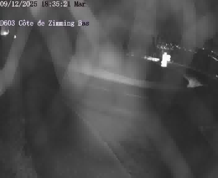Webcam sur la D603 située dans la Côté de Zimming-bas, dans le virage en demi-tour, à la jonction avec la D74