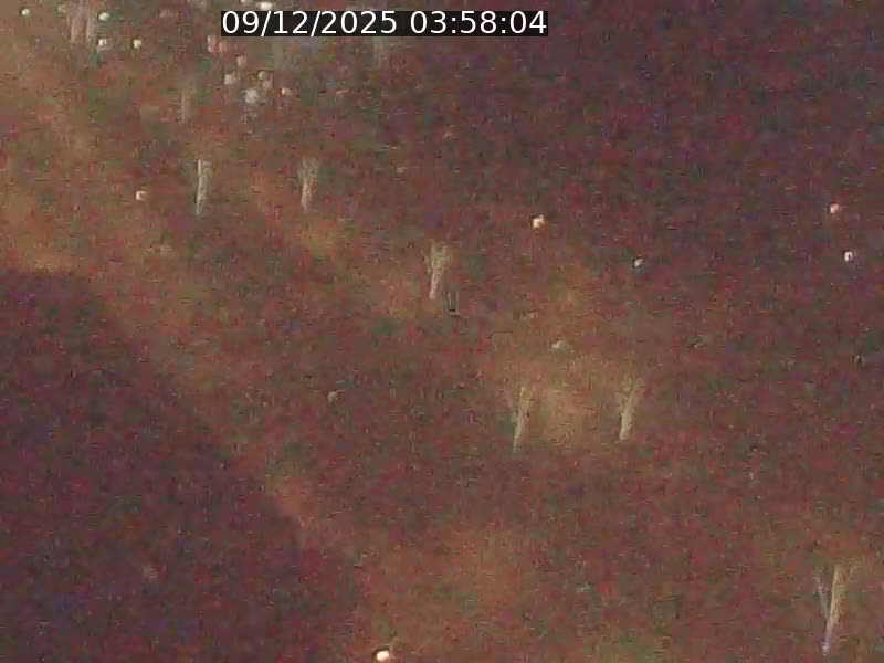 Webcam sur l'avenue John Fitzgerald Kennedy (N51) avec vue sur le Pont rouge (Pont Grande Duchesse Charlotte), l'arrêt Pfaffenthal et l'entrée du quartier Kirchberg